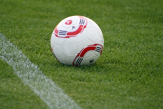 员的发挥 员的发挥