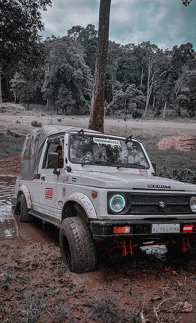 的情况下 的情况下