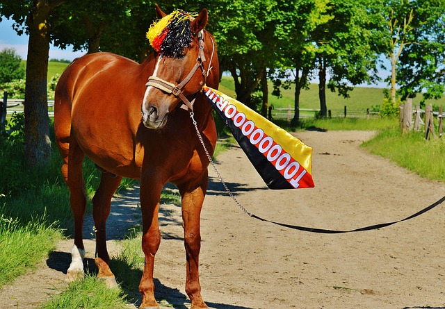 的核心战略 的核心战略