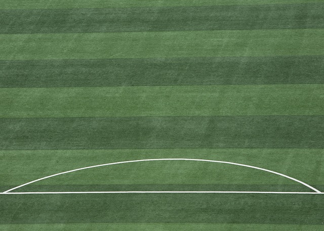 综上所述 综上所述