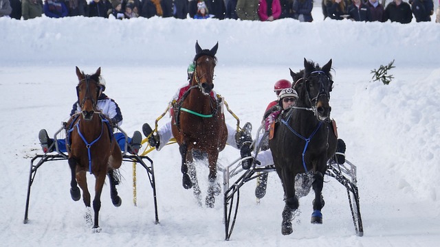 守端的不足 守端的不足