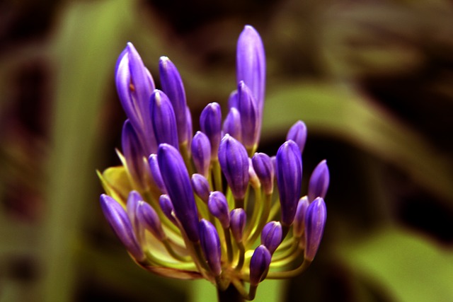 多元文化融 多元文化融