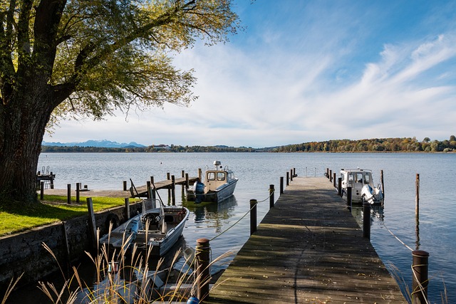 更能在未来 更能在未来