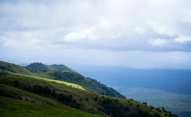这一言论再 这一言论再