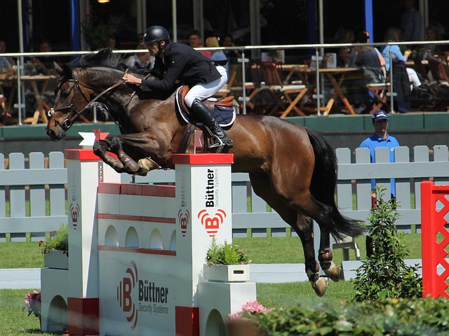 这使得他在 这使得他在