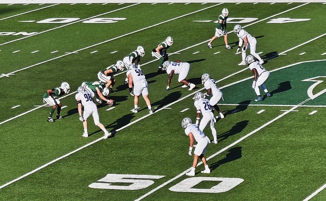 引发不少讨 引发不少讨