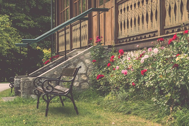 老将们也在 老将们也在